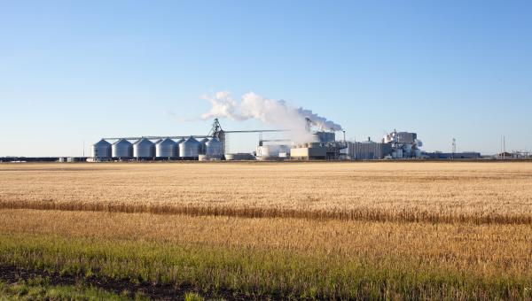 An ethanol plant