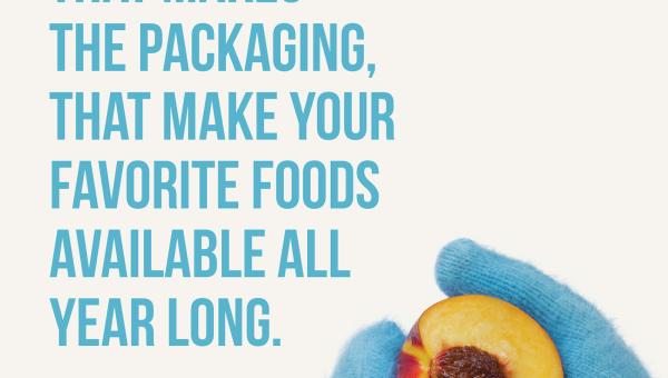 Ethylene Petrochemicals