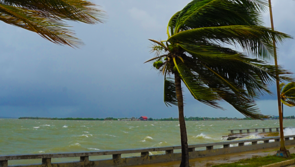 Preparing for hurricane season during a pandemic 