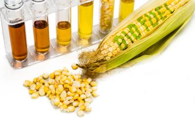 Biofuel