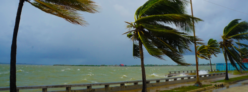 Preparing for hurricane season during a pandemic 